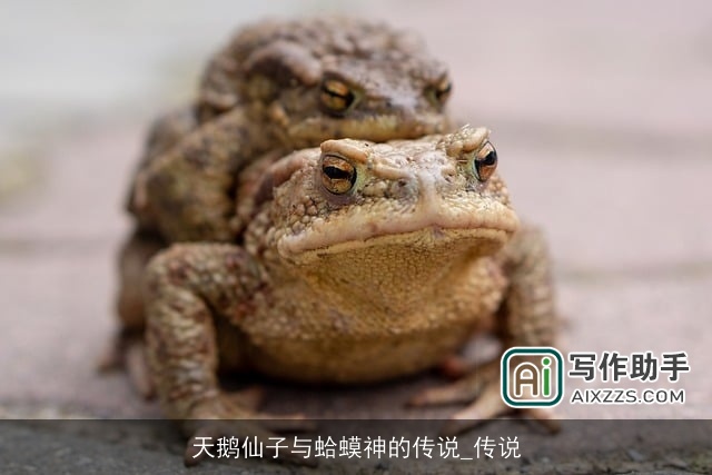 天鹅仙子与蛤蟆神的传说_传说