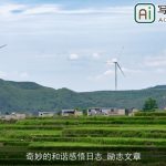 奇妙的和谐感悟日志_励志文章