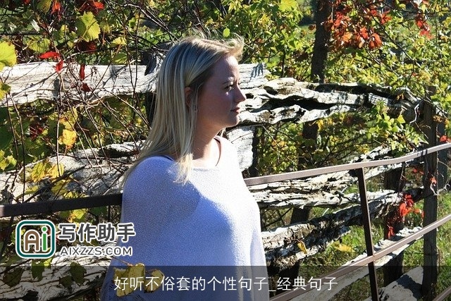 好听不俗套的个性句子_经典句子