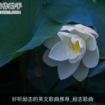 好听励志的英文歌曲推荐_励志歌曲