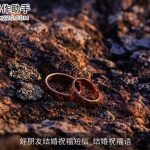 好朋友结婚祝福短信_结婚祝福语