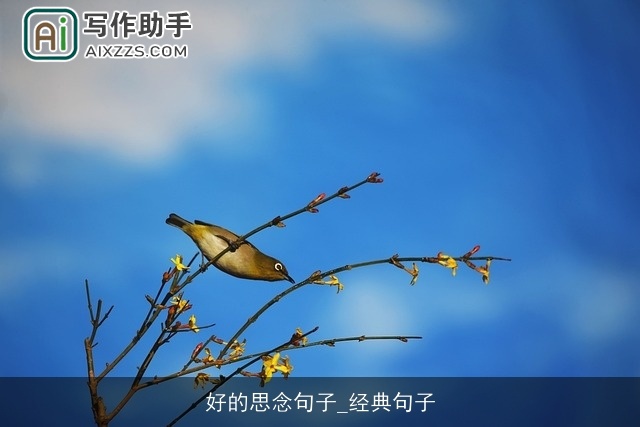 好的思念句子_经典句子