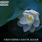 好看的中国网络小说排行榜_励志故事