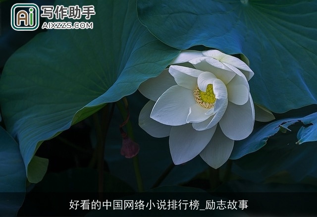 好看的中国网络小说排行榜_励志故事