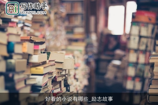 好看的小说有哪些_励志故事
