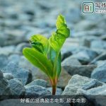 好看的经典励志电影_励志电影