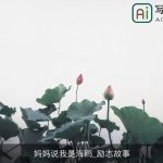 妈妈说我是海鸥_励志故事