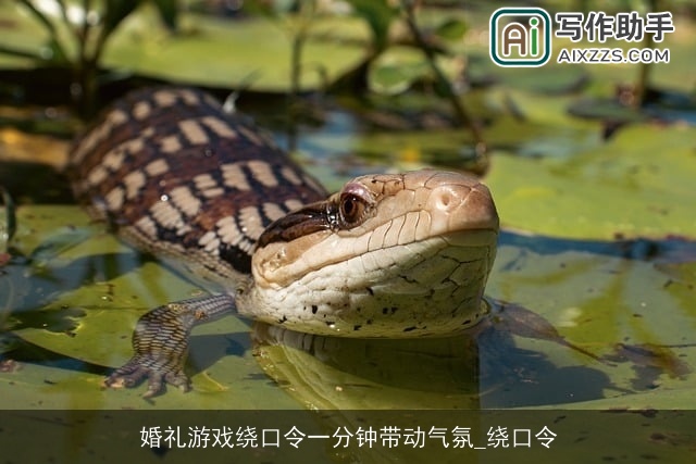 婚礼游戏绕口令一分钟带动气氛_绕口令