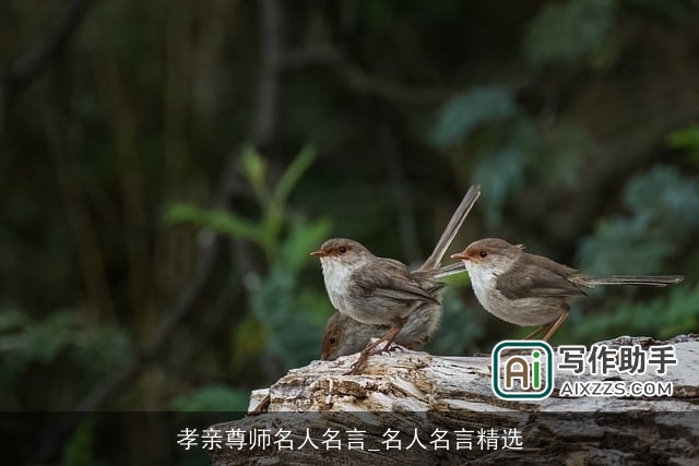 孝亲尊师名人名言_名人名言精选