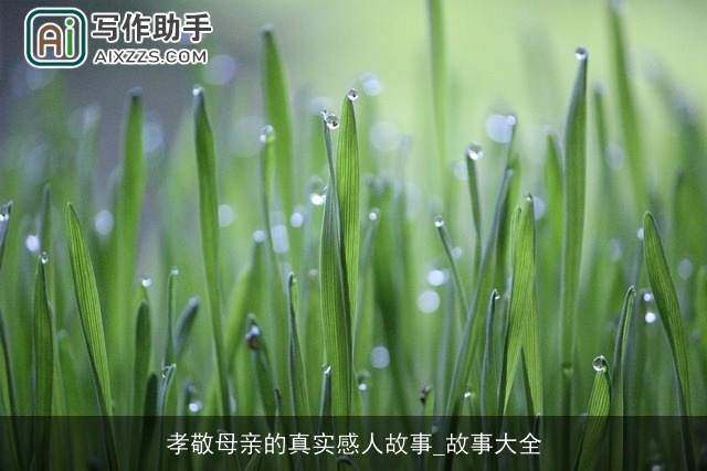 孝敬母亲的真实感人故事_故事大全