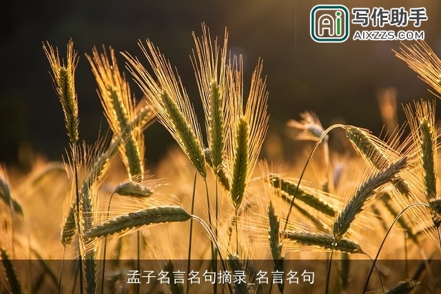 孟子名言名句摘录_名言名句