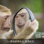 孤独爱情名言_爱情名言