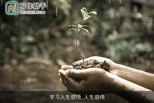 学习人生感悟_人生感悟