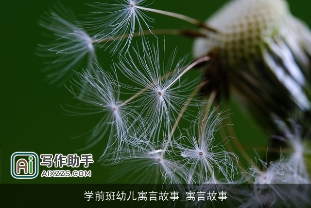 学前班幼儿寓言故事_寓言故事