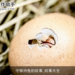 守株待兔的故事_故事大全