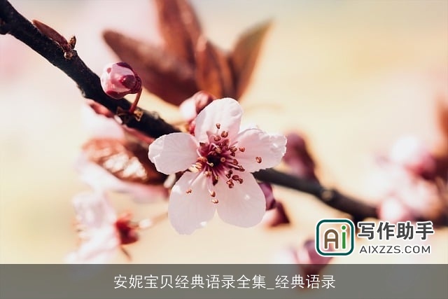 安妮宝贝经典语录全集_经典语录