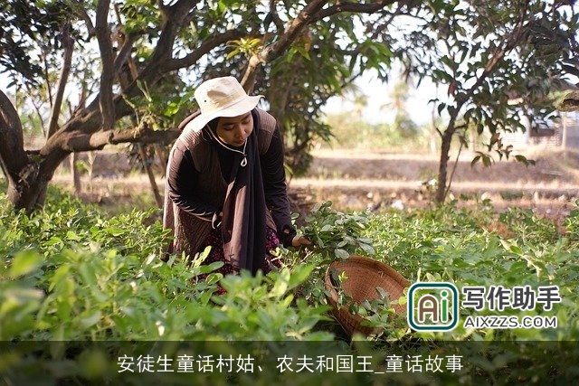 安徒生童话村姑、农夫和国王_童话故事