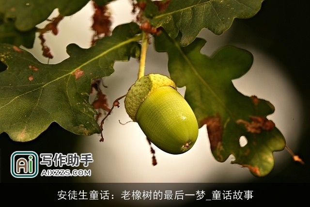 安徒生童话：老橡树的最后一梦_童话故事