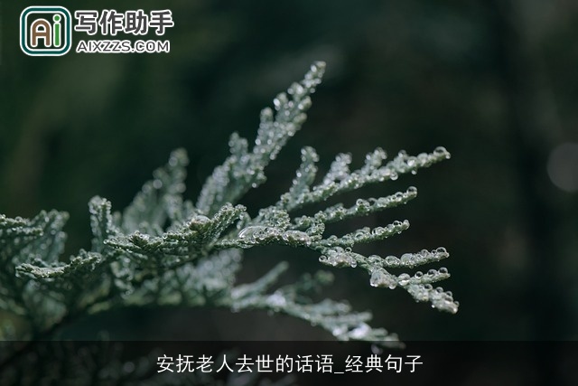 安抚老人去世的话语_经典句子