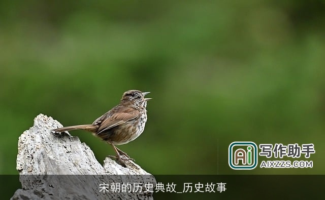 宋朝的历史典故_历史故事