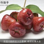 完璧归赵的主人公是谁_成语故事大全