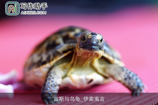 宙斯与乌龟_伊索寓言