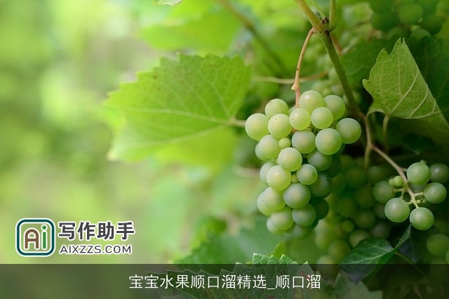 宝宝水果顺口溜精选_顺口溜