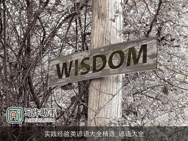 实践经验类谚语大全精选_谚语大全