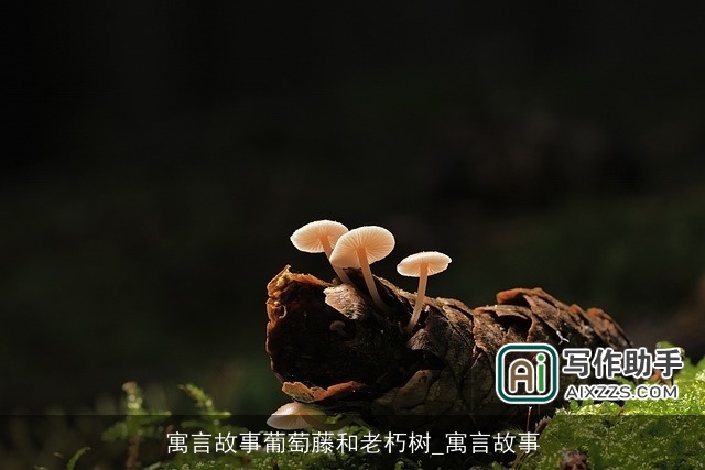 寓言故事葡萄藤和老朽树_寓言故事