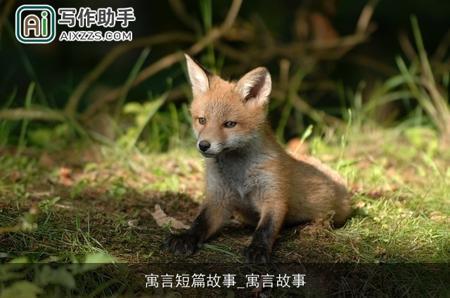 寓言短篇故事_寓言故事