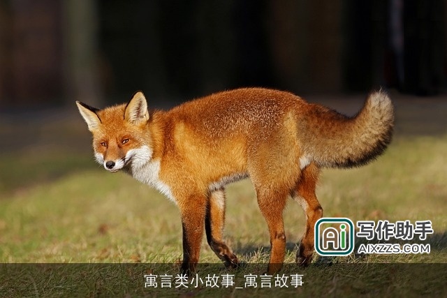 寓言类小故事_寓言故事