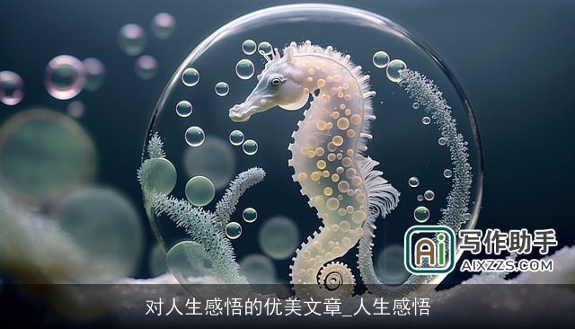 对人生感悟的优美文章_人生感悟