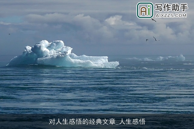 对人生感悟的经典文章_人生感悟