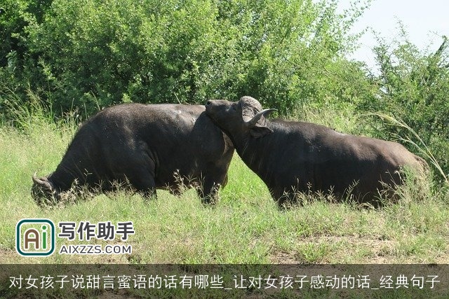 对女孩子说甜言蜜语的话有哪些_让对女孩子感动的话_经典句子
