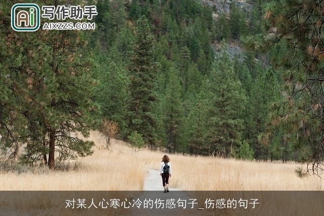 对某人心寒心冷的伤感句子_伤感的句子