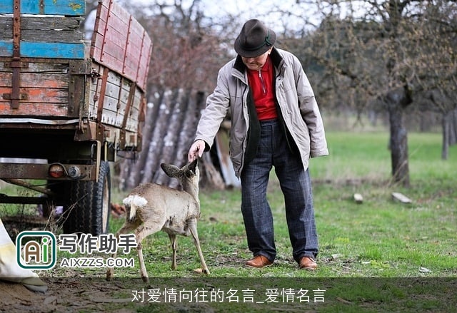 对爱情向往的名言_爱情名言