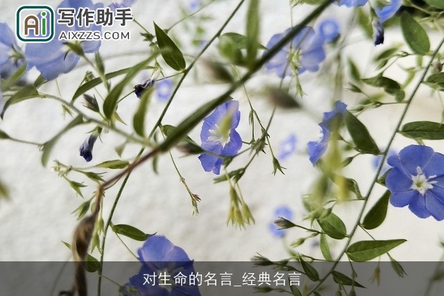 对生命的名言_经典名言