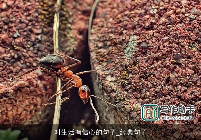 对生活有信心的句子_经典句子