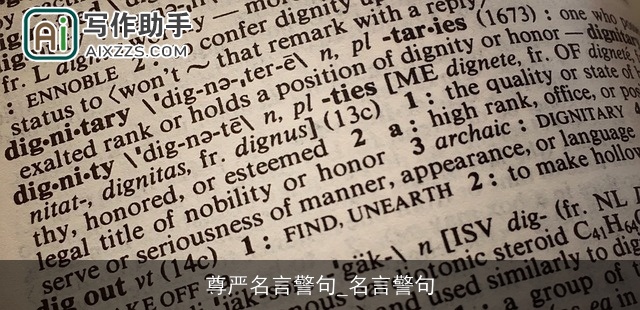 尊严名言警句_名言警句