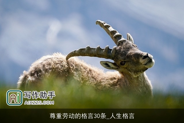 尊重劳动的格言30条_人生格言