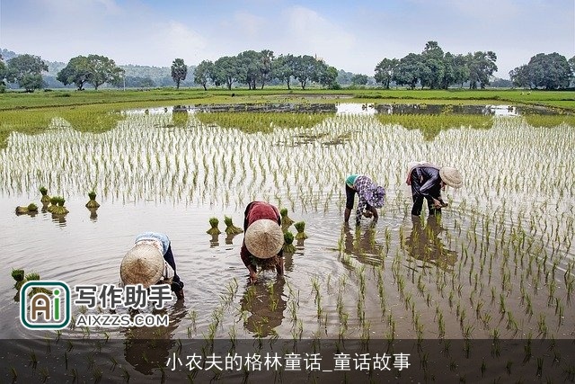 小农夫的格林童话_童话故事
