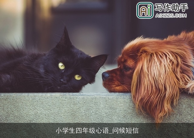 小学生四年级心语_问候短信