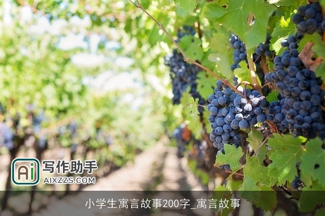 小学生寓言故事200字_寓言故事