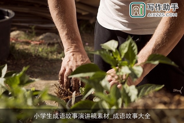 小学生成语故事演讲稿素材_成语故事大全