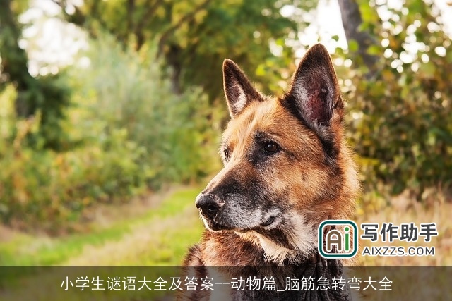 小学生谜语大全及答案--动物篇_脑筋急转弯大全