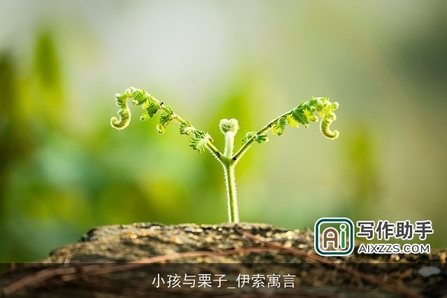 小孩与栗子_伊索寓言