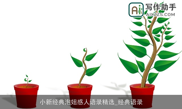 小新经典泡妞感人语录精选_经典语录