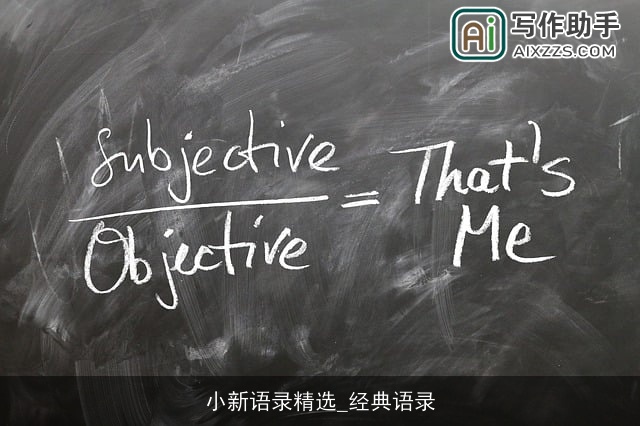 小新语录精选_经典语录