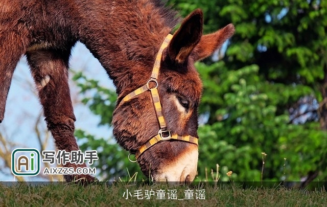 小毛驴童谣_童谣