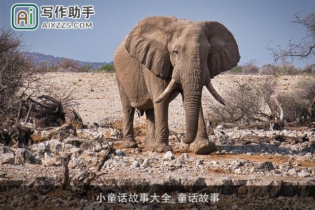 小童话故事大全_童话故事